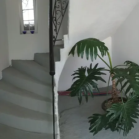 Sea View Holiday home Amaliada