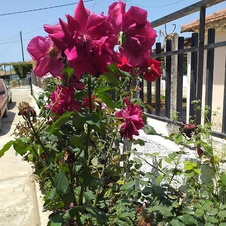 Holiday home Sea View Amaliada